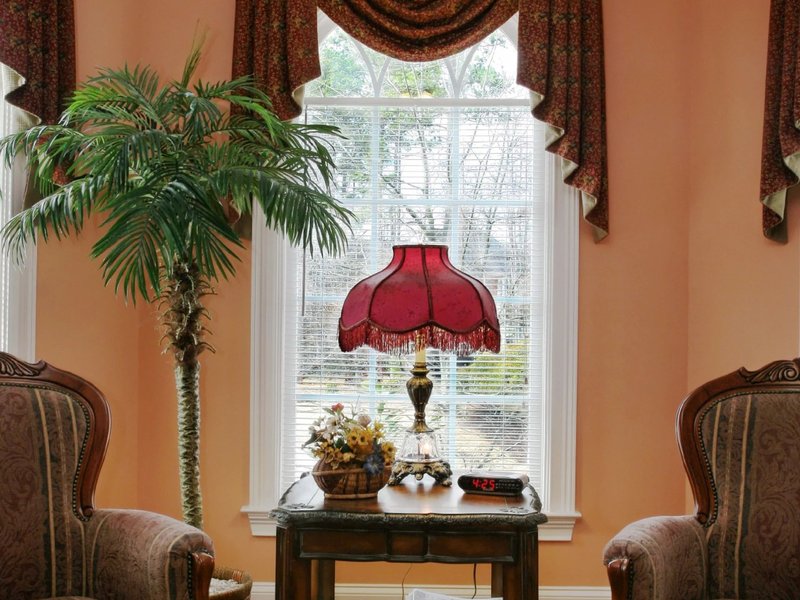 more-for-home-window-treatments-lamp-and-plant Laydwel Floors in Appleton, WI